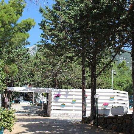 Camping Car Palmasera Cala Gonone Dış mekan fotoğraf